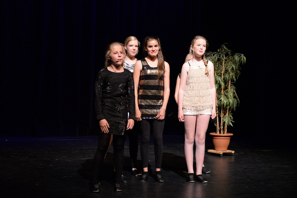 ../Images/Musical Ons eigen Theater 031.jpg